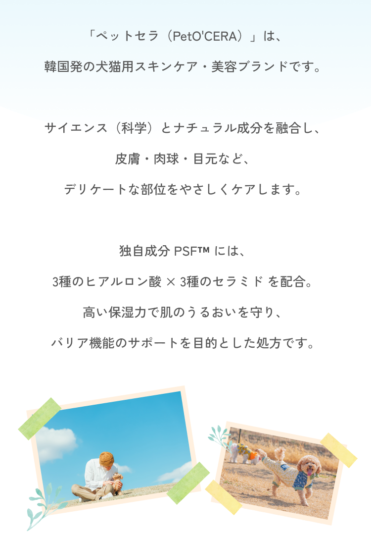 ペットセラとは